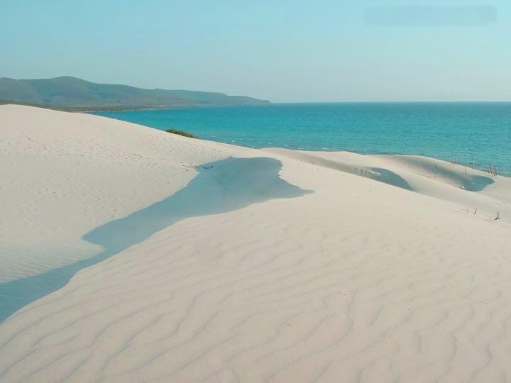 Villetta Bouganvillea Сант'Анна-Аррези Экстерьер фото